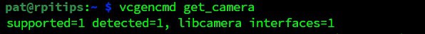 vcgencmd for camera detection