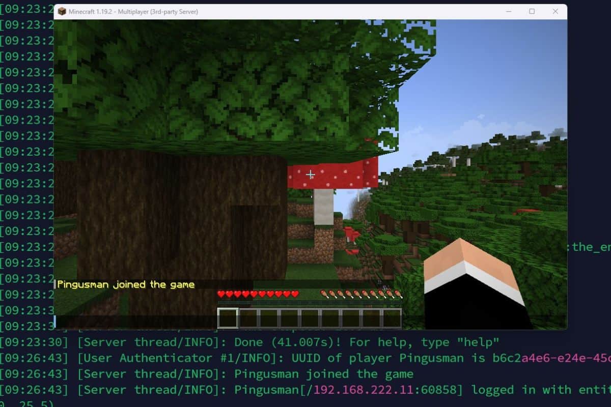 how to host a minecraft server on debian