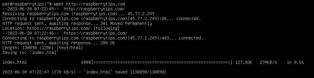 linux command visit website