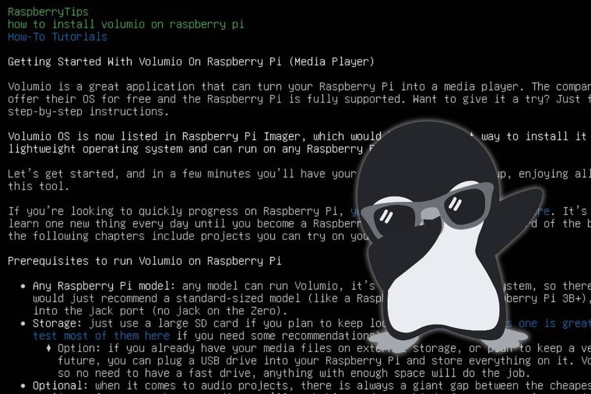 how to access website from linux terminal