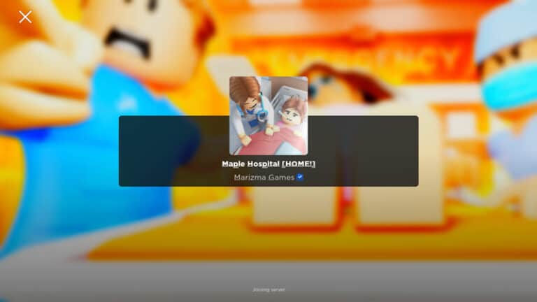 How to Play Roblox on Raspberry Pi (Tips & Alternatives) – RaspberryTips