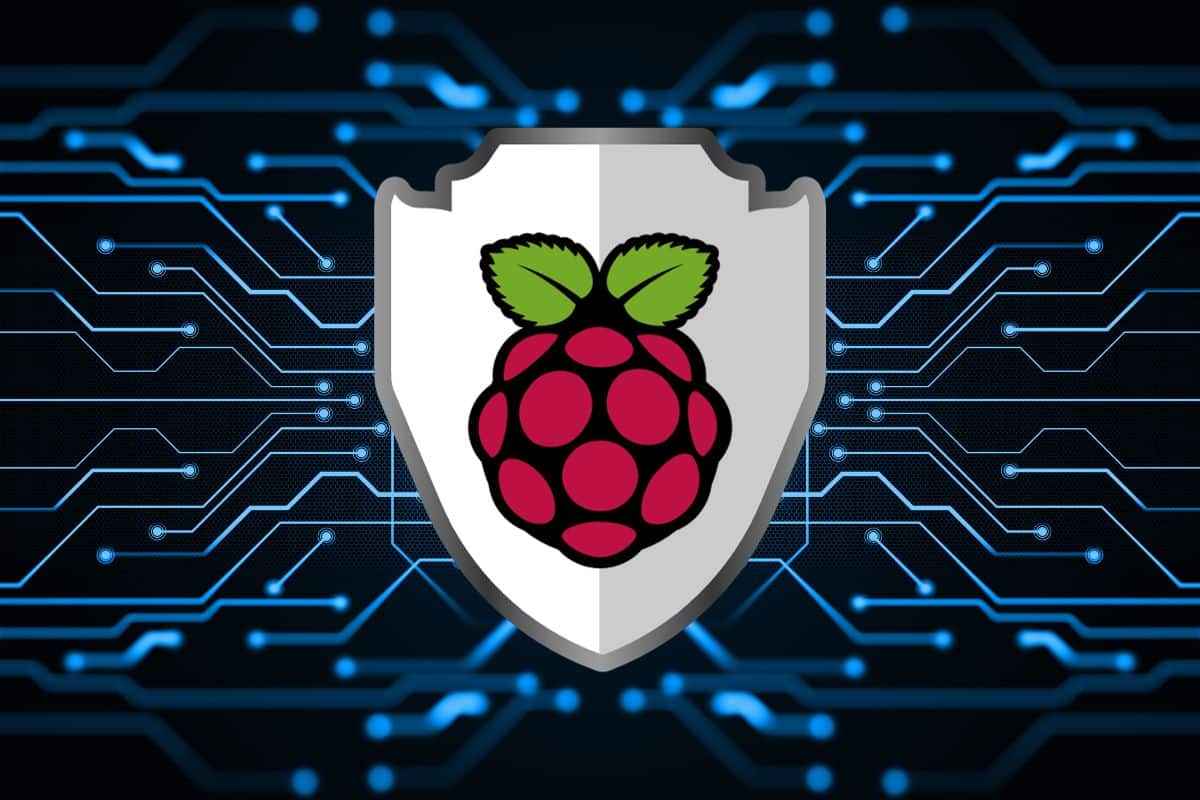 how to setup raspberry pi as vpn gateway