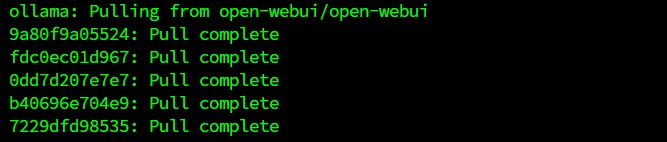 ollama webui docker installation