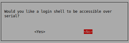 Screen capture of prompt: Would you like a login shell to be accessible on the serial port?